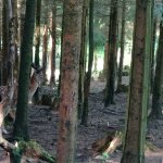 phoca_thumb_m_vp 17.6.2025  50 Fotogalerie